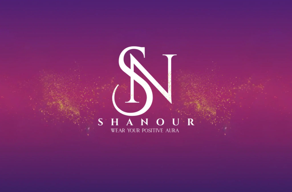 How we built SHANOUR??